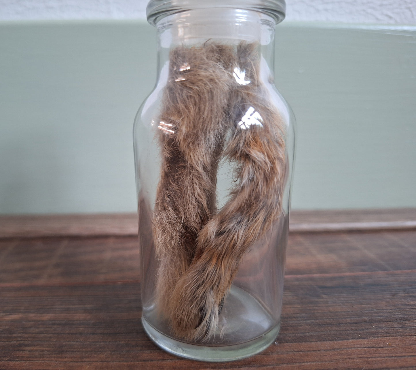 Hare paws, B-quality, in glass bottle