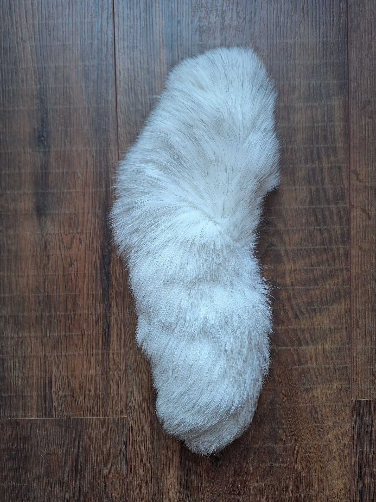 Polar fox tails
