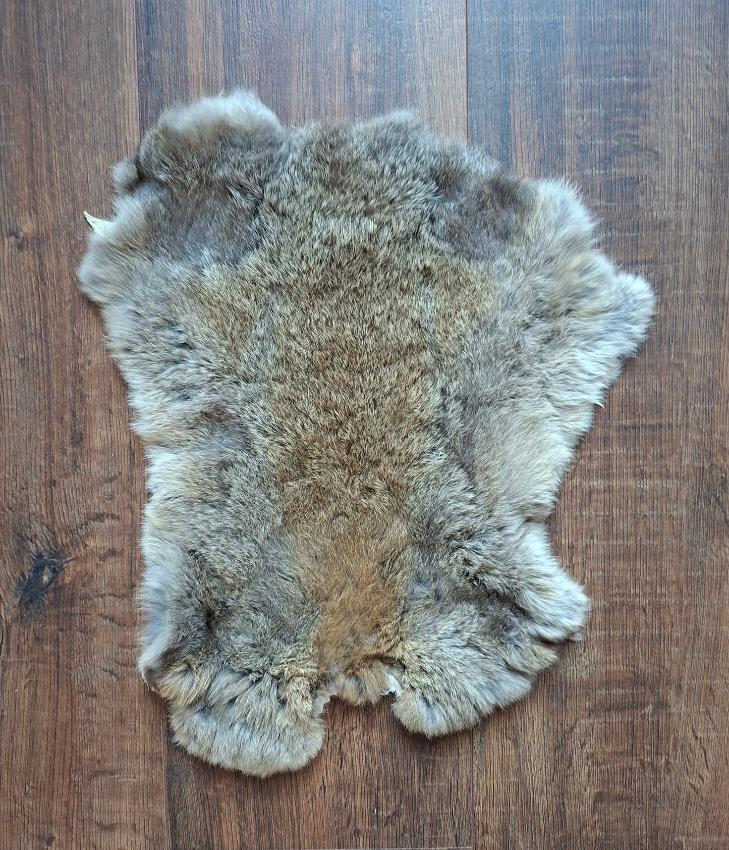 Rabbit hide #30