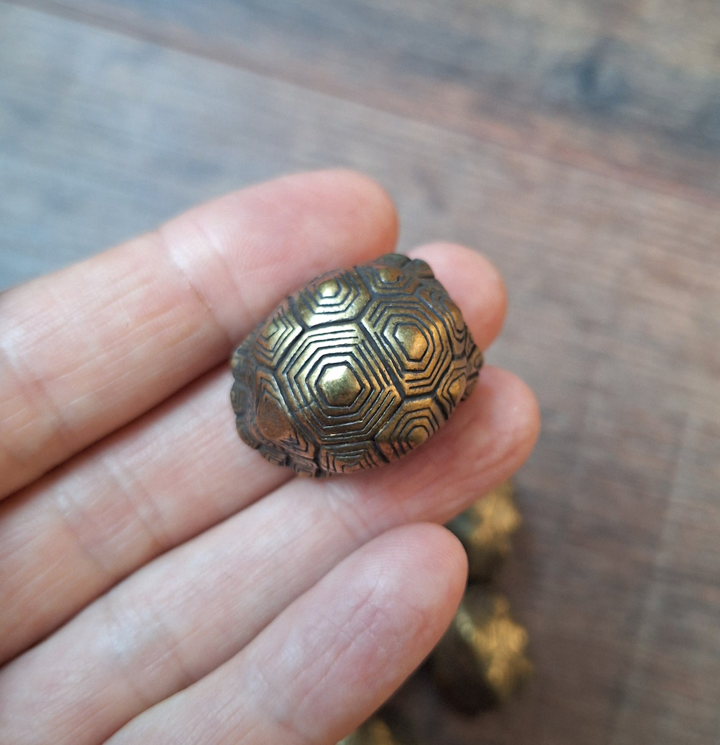 Bell with turtle shield 20 millimeter