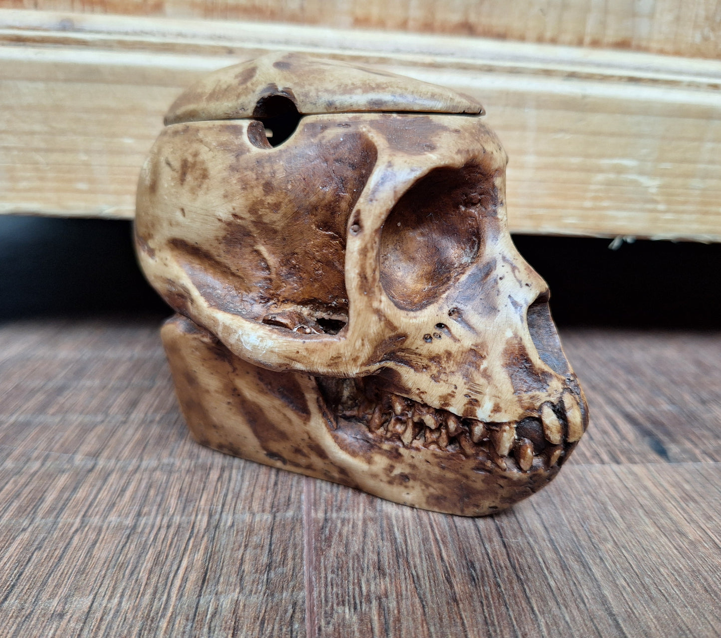 Resin monkey skull kapala