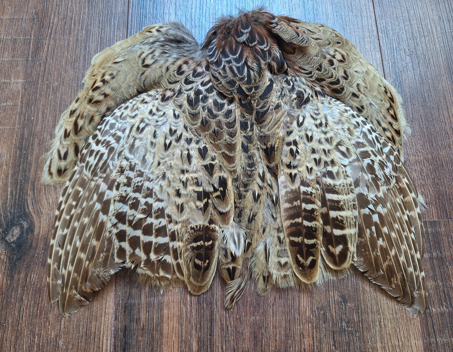 Pheasant skin