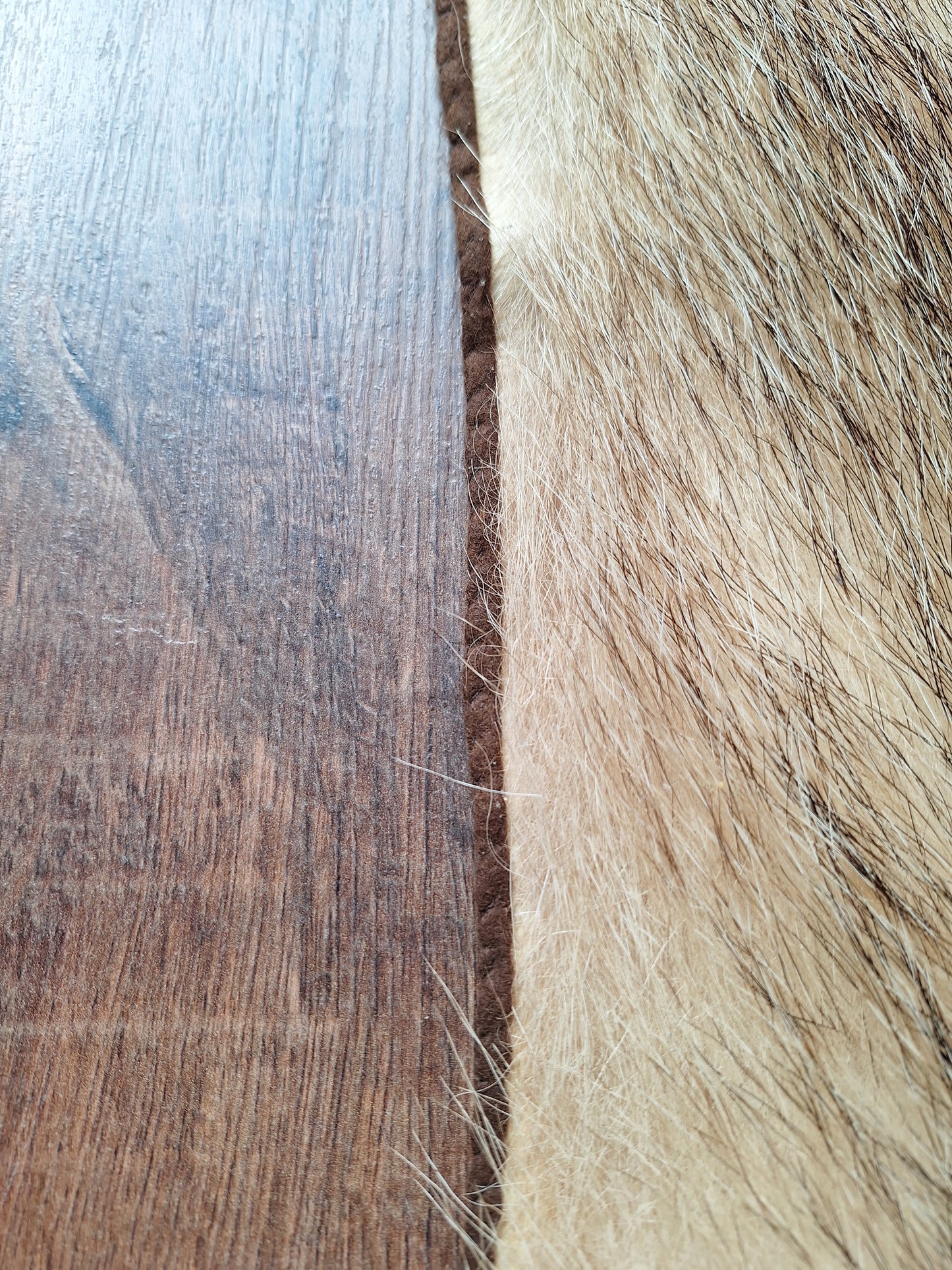 Badger hide #6