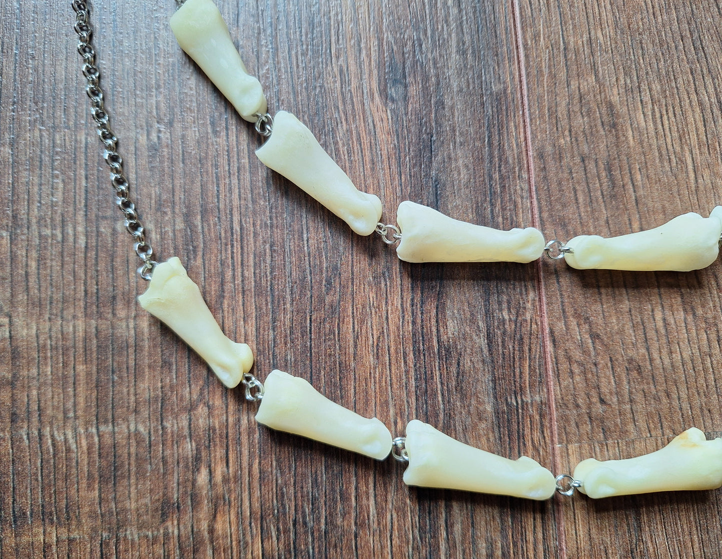 Roe deer foot bones amulet necklace