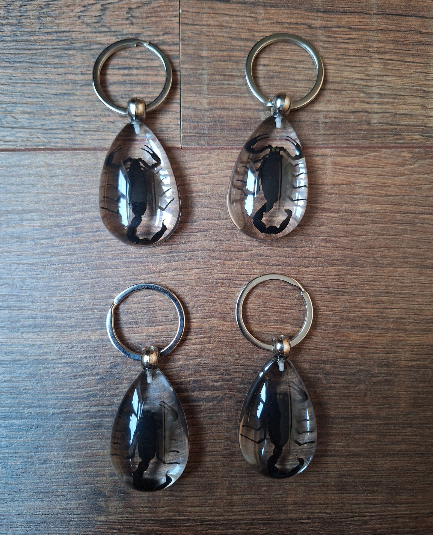 Scorpion in resin keychain