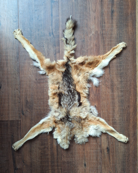 Black-backed jackal hide crafting piece