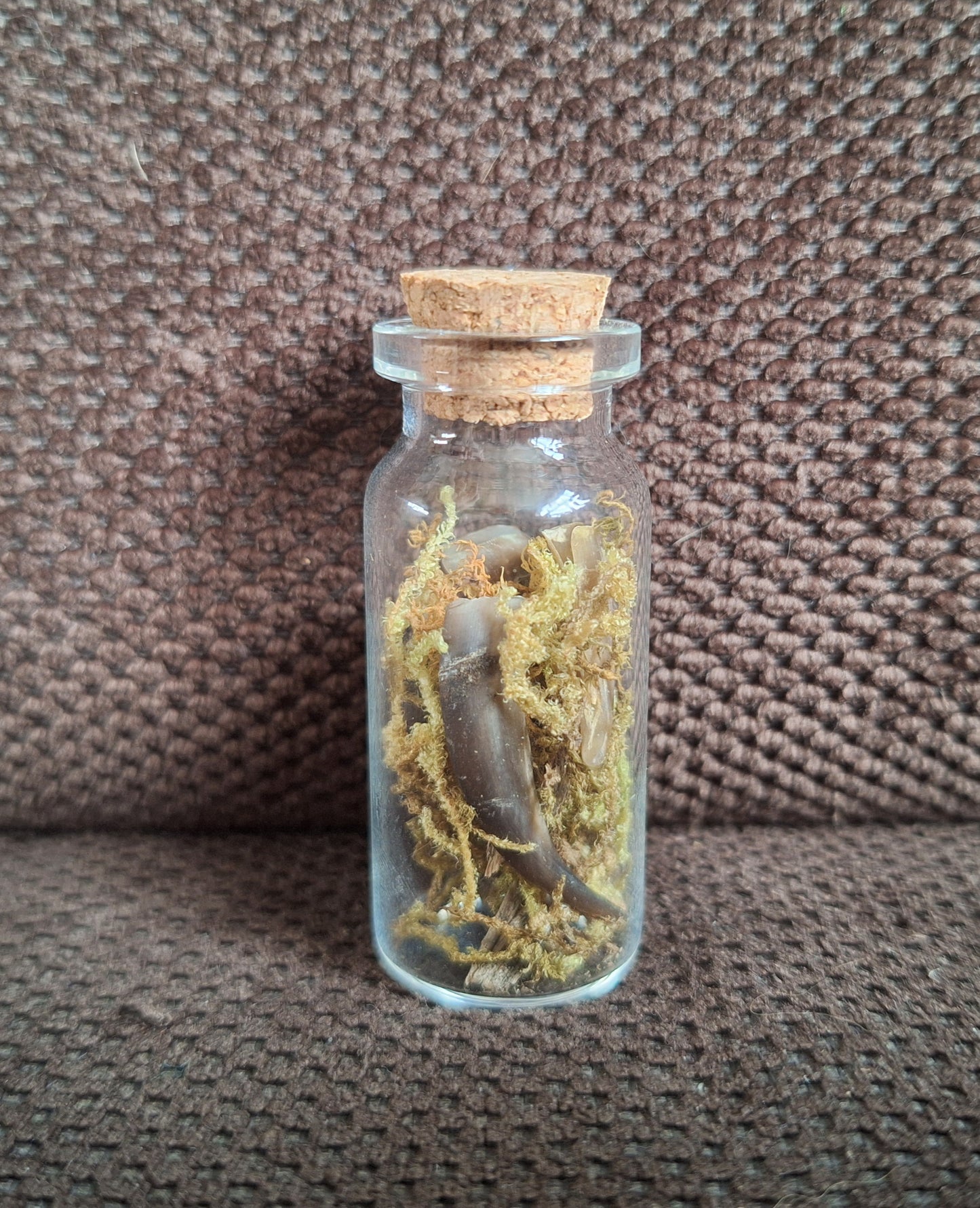Badger nails bottle