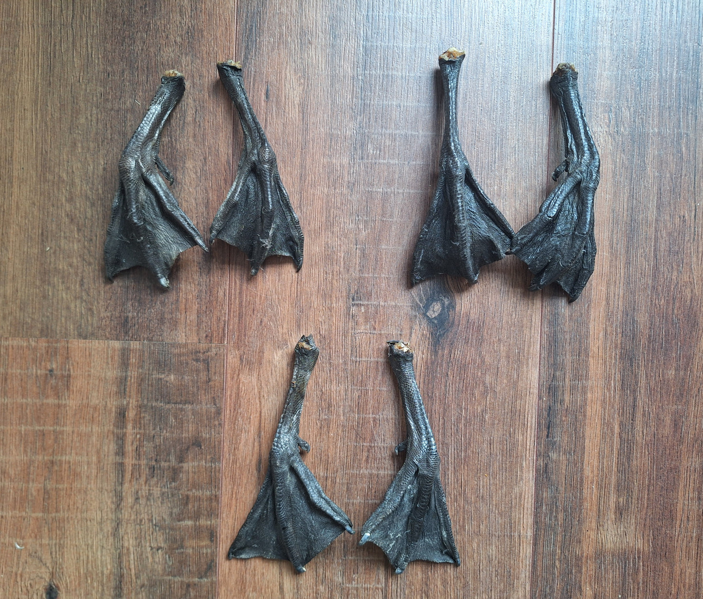 Barnacle goose lower legs, set of 2