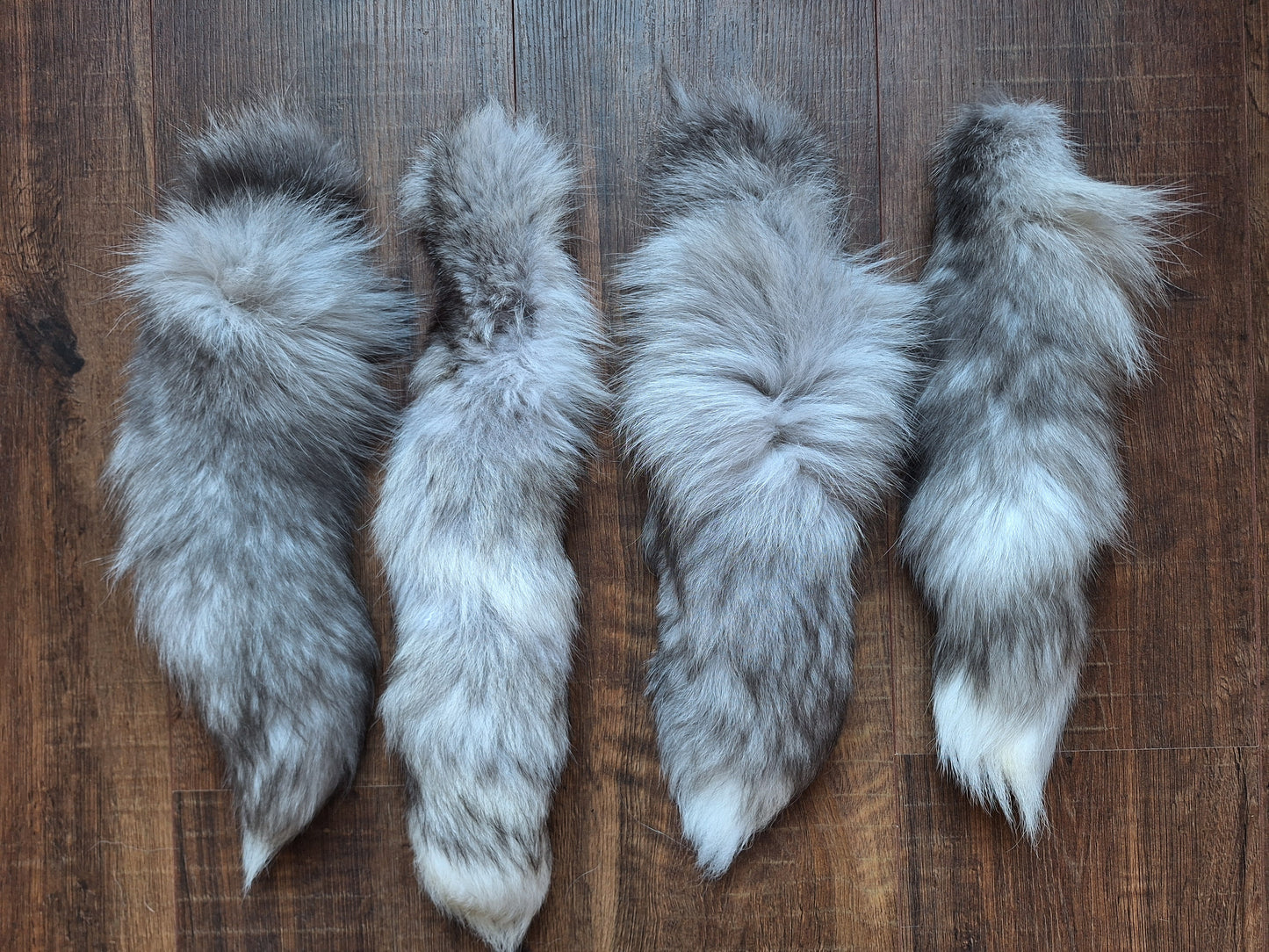 Painted silverfox tails