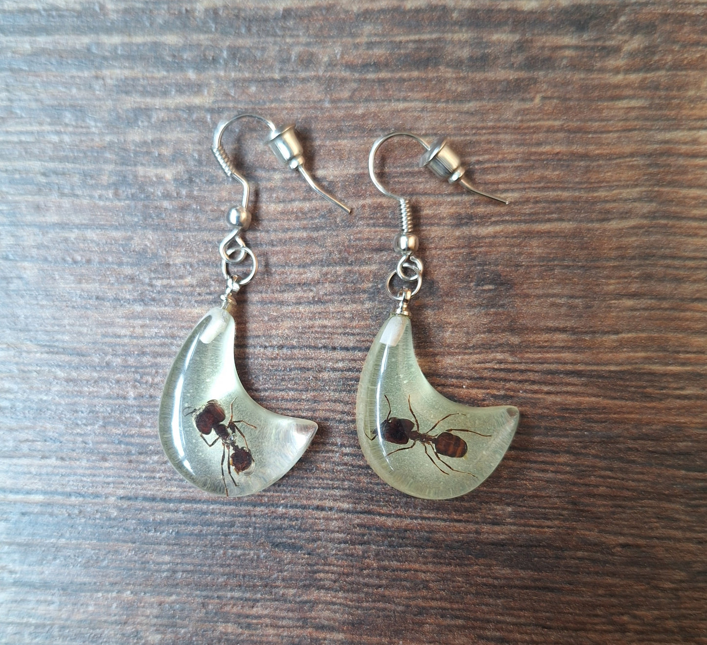 Ants in glow-in-the-dark resin earrings