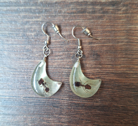 Ants in glow-in-the-dark resin earrings