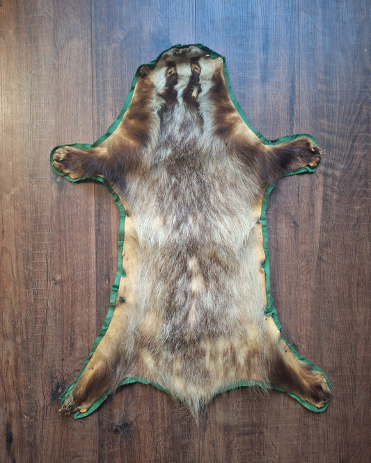 Vintage badger hide preparation