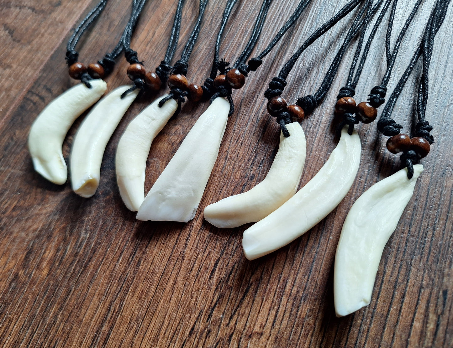 Camel tooth necklace