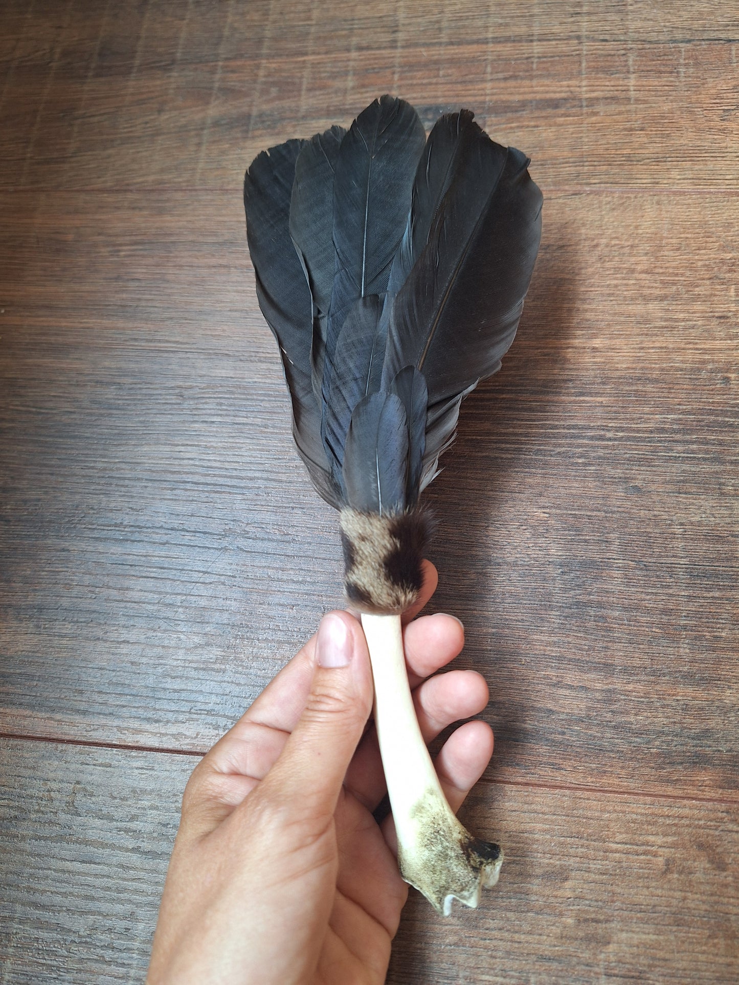 Bone feather fan Crow