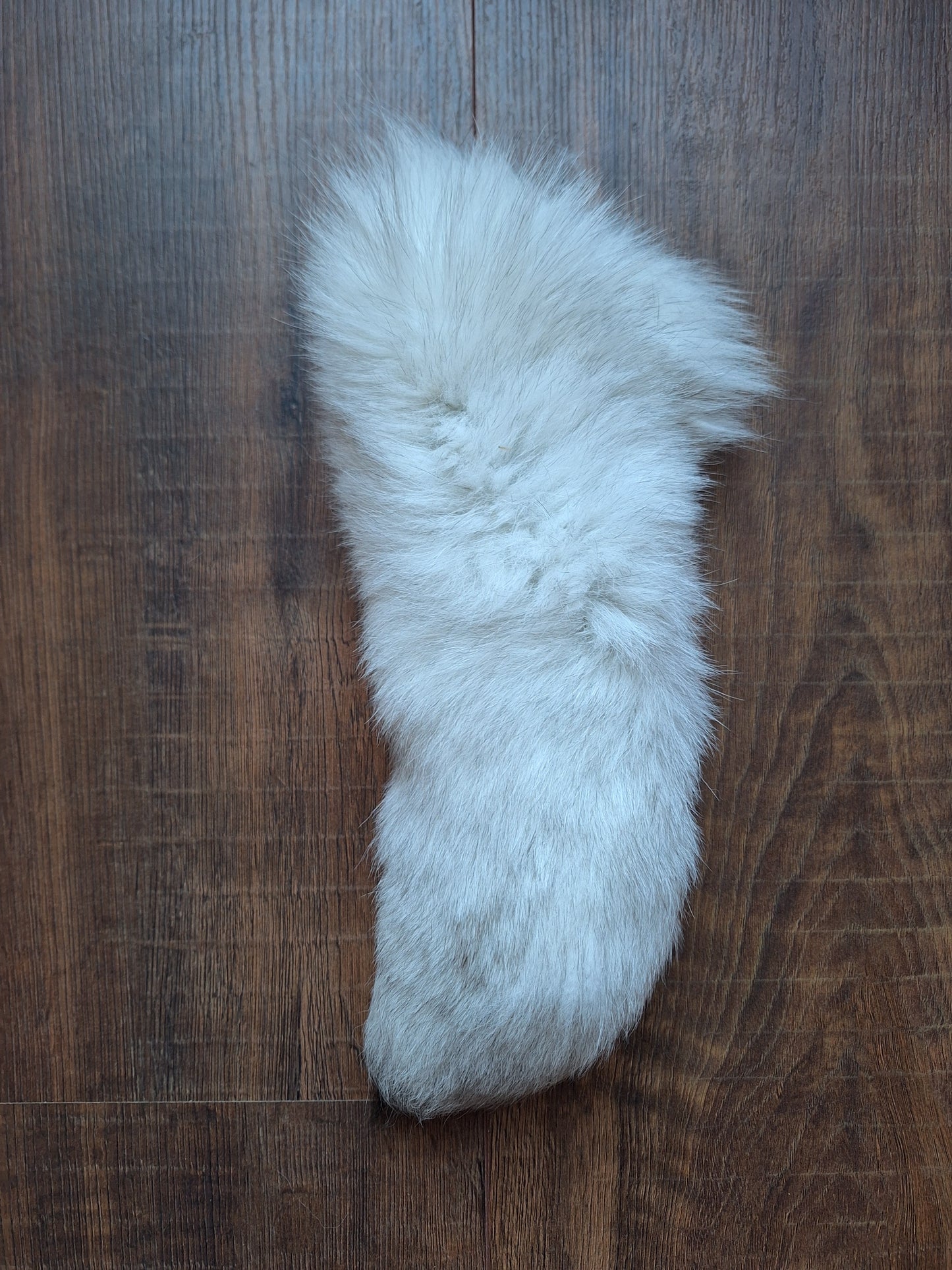 Polar fox tails