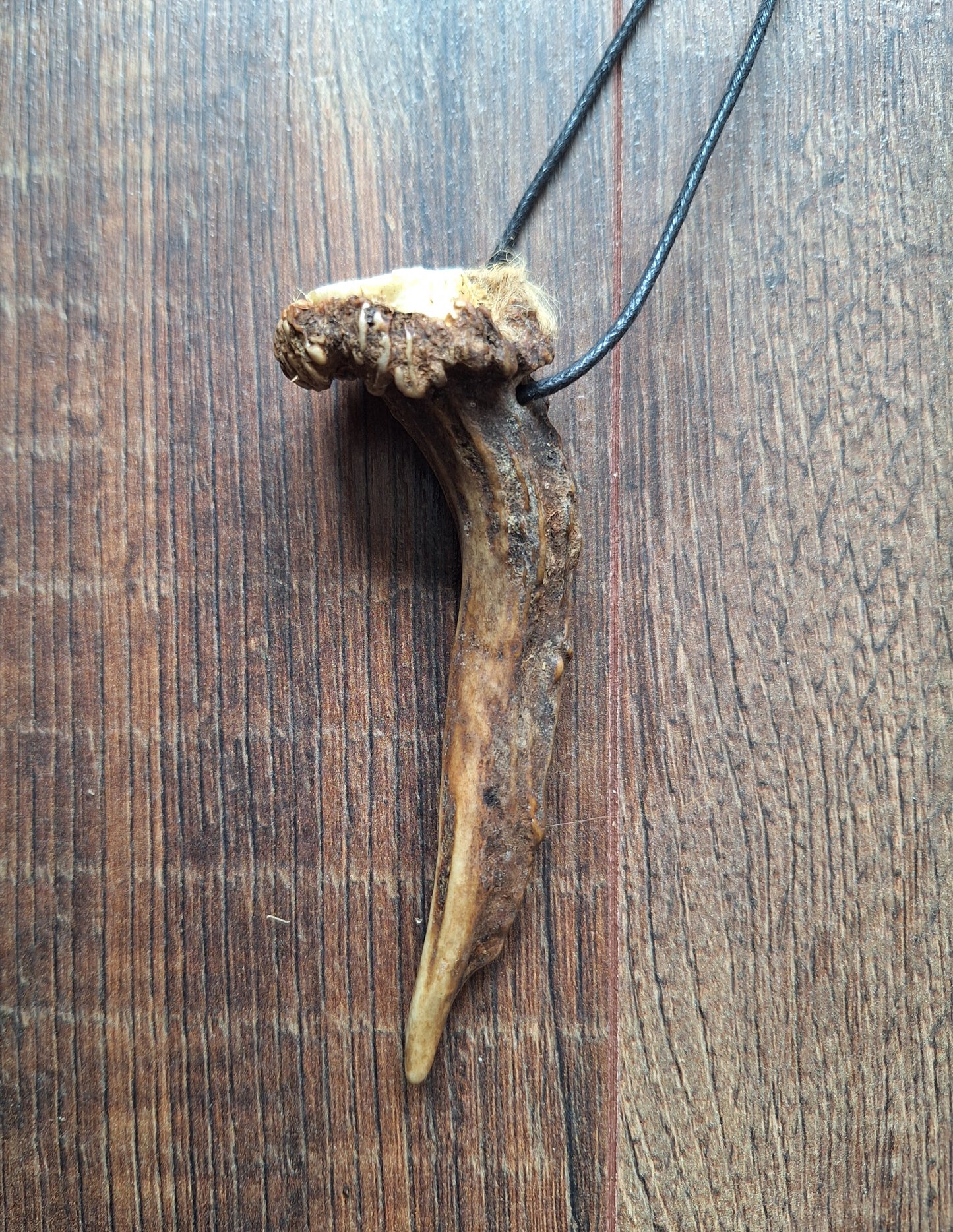 Roe deer antler necklaces