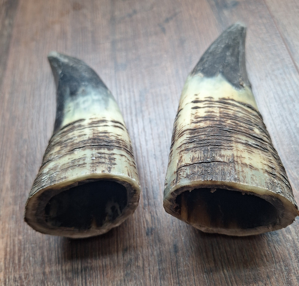 Cow horn set