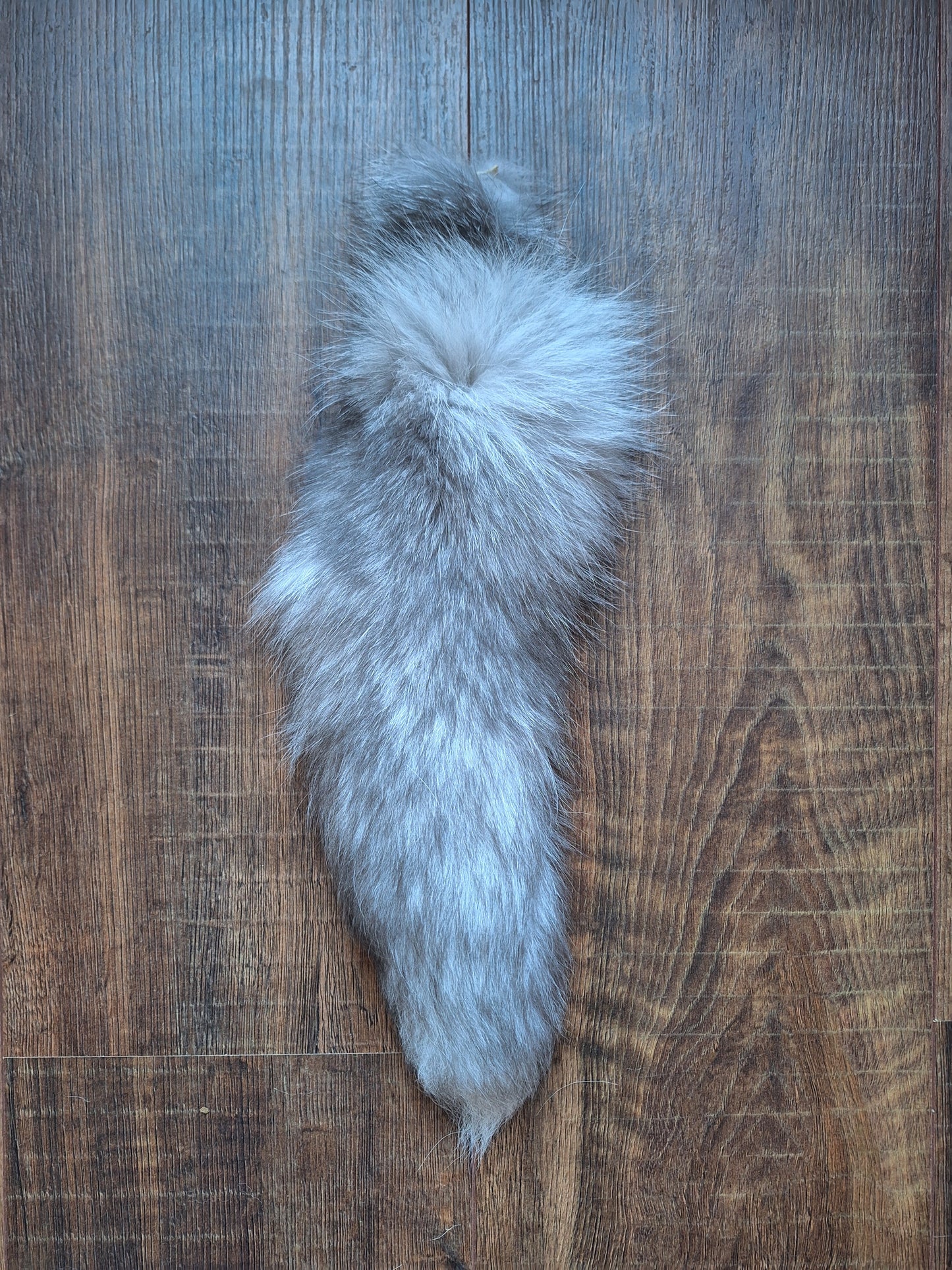 Painted silverfox tails