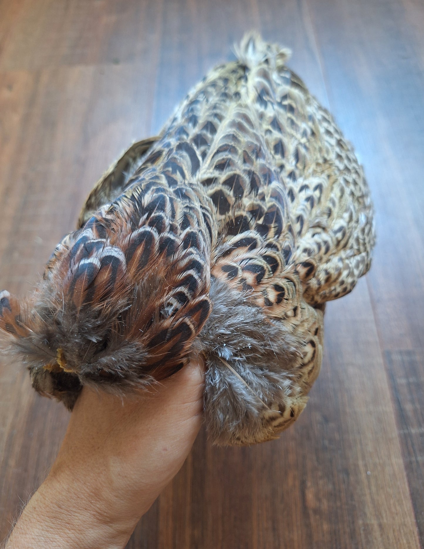 Pheasant skin