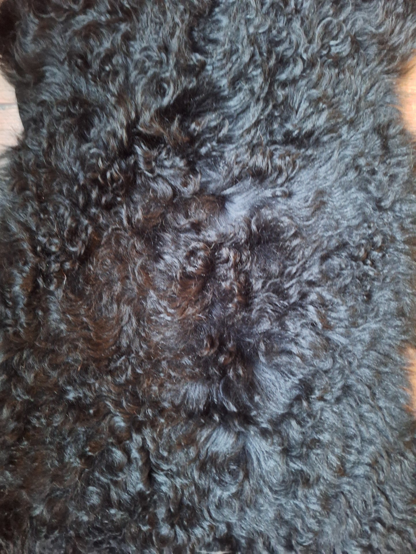 Tigrado sheep hide #3