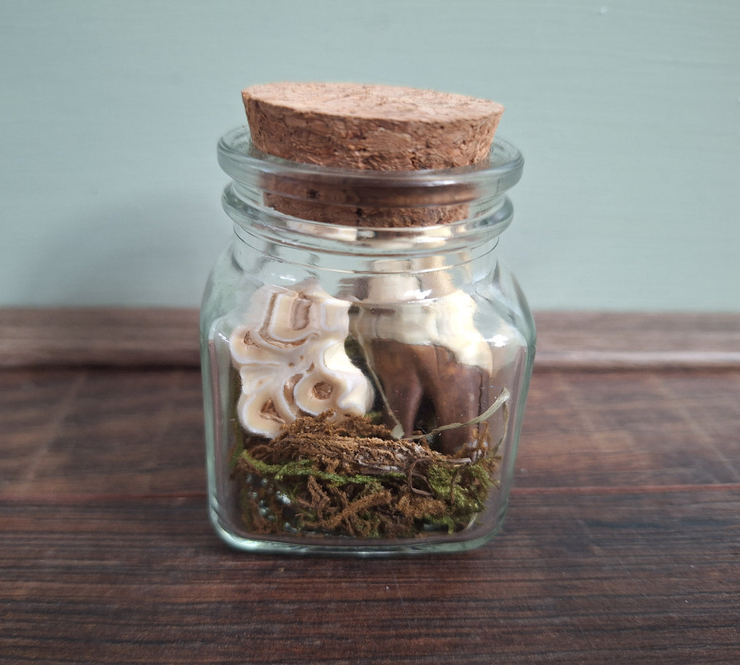 Cow teeth in glass jar