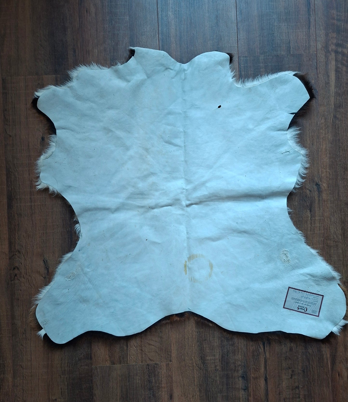 Calf hide