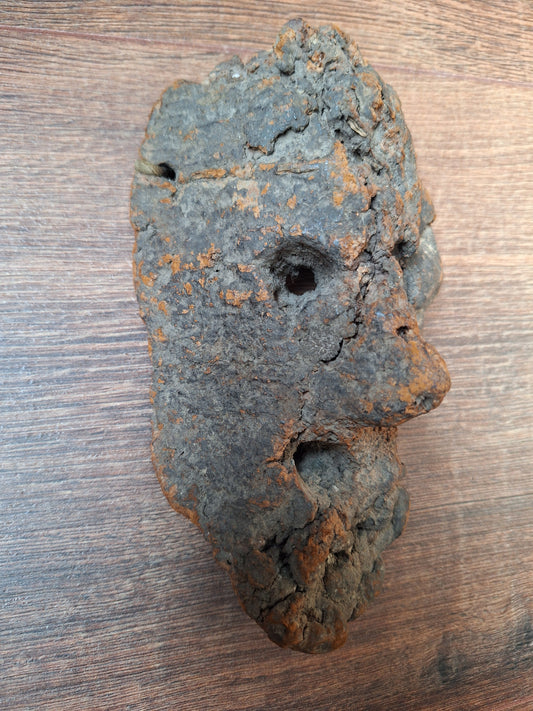 Antique Nepalese mushroom mask #9