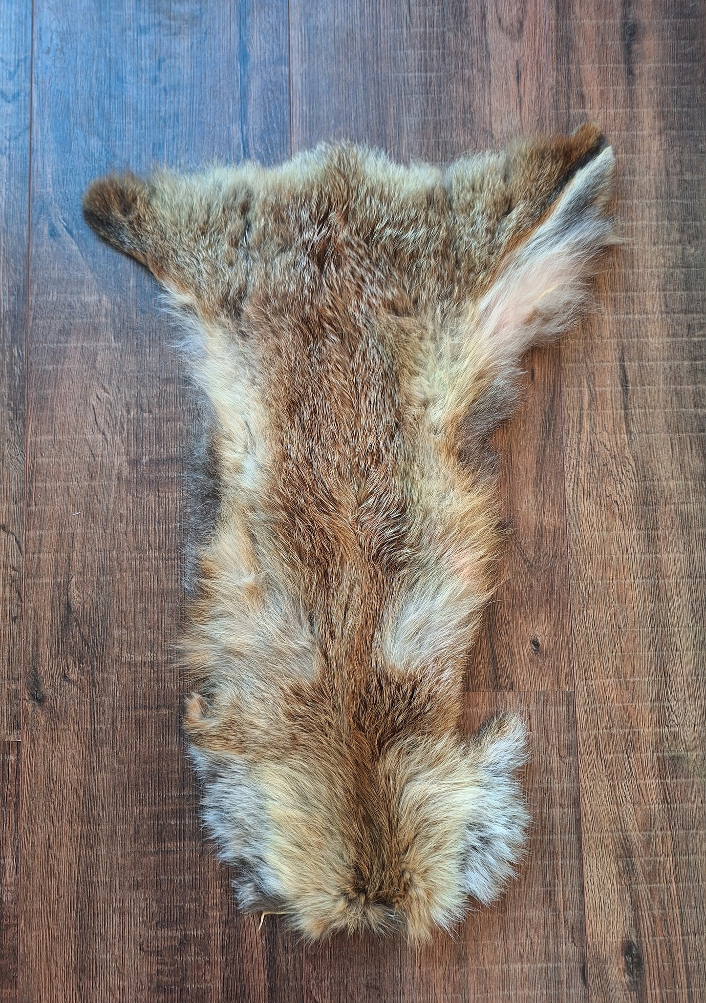 Red fox hide crafting piece