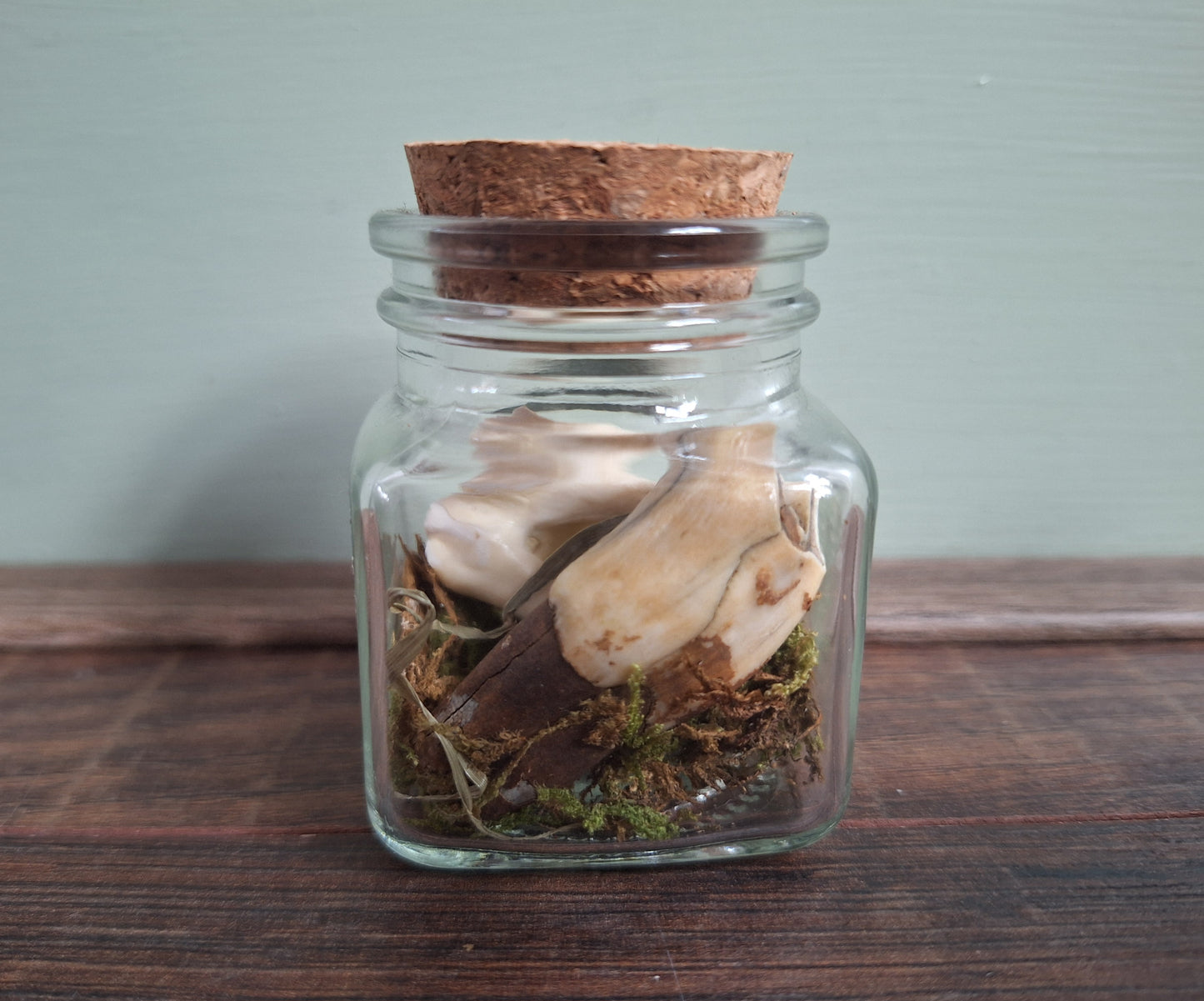 Cow teeth in glass jar