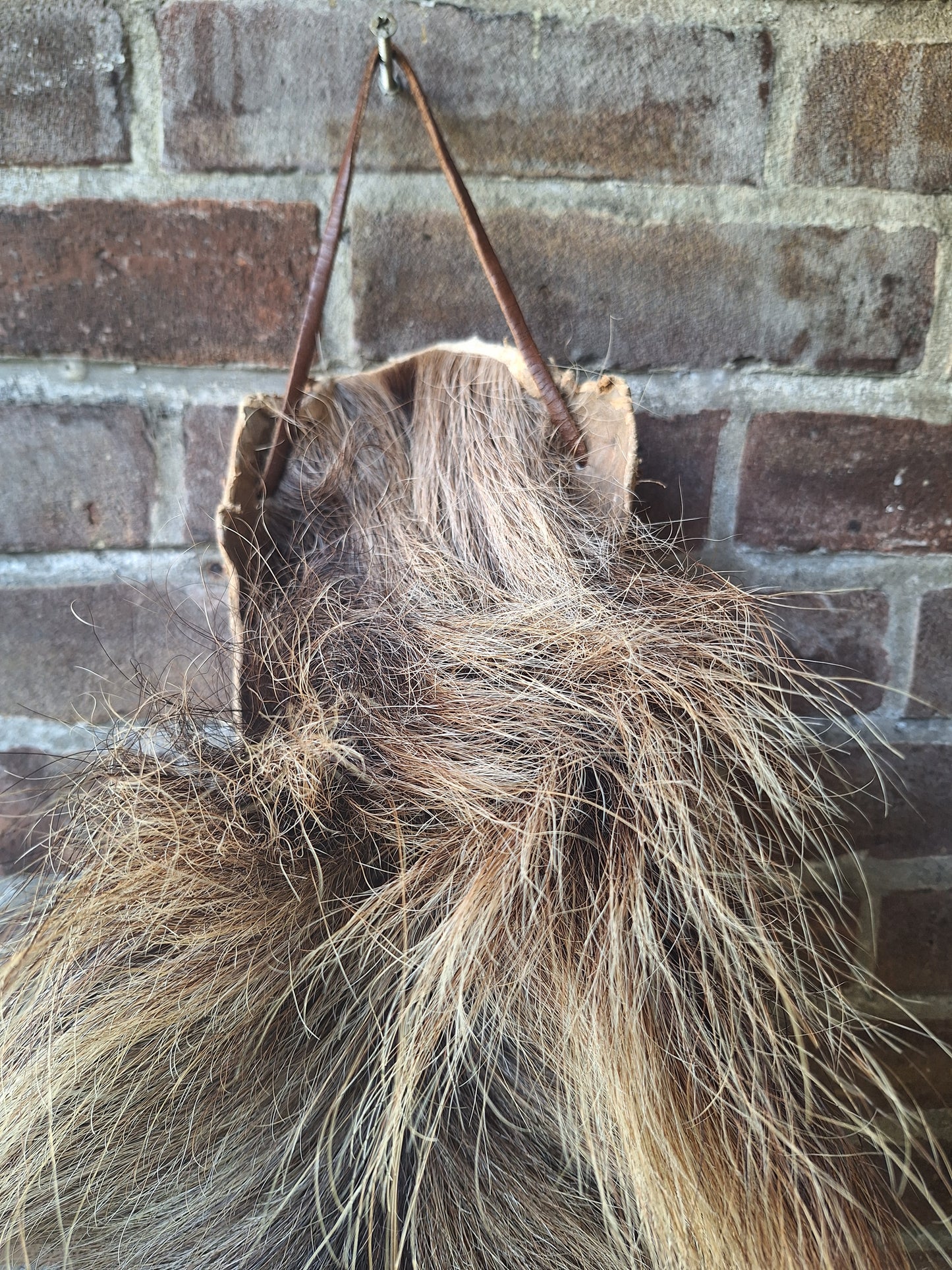 Horse tail #8, complete tail