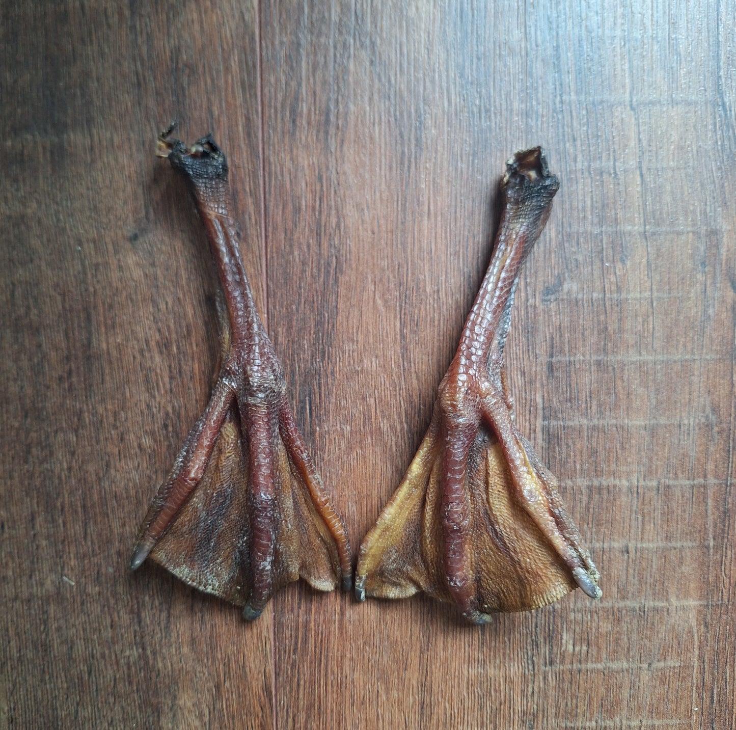 Goose lower legs, set of 2