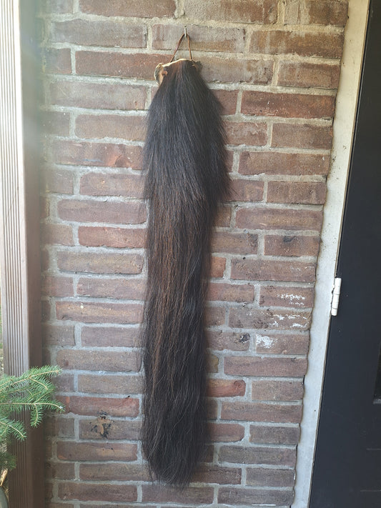 Horse tail #7, complete tail