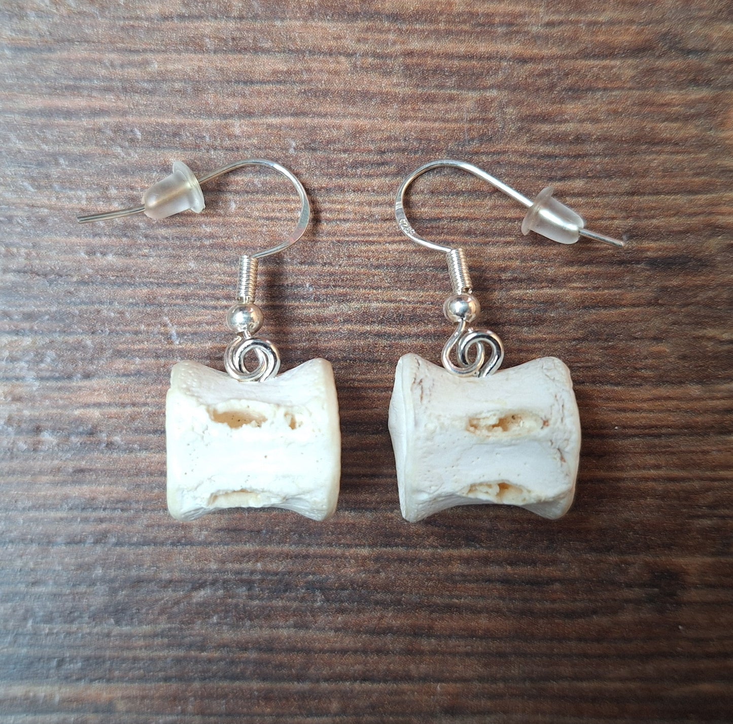 Shark vertebrae amulet earrings