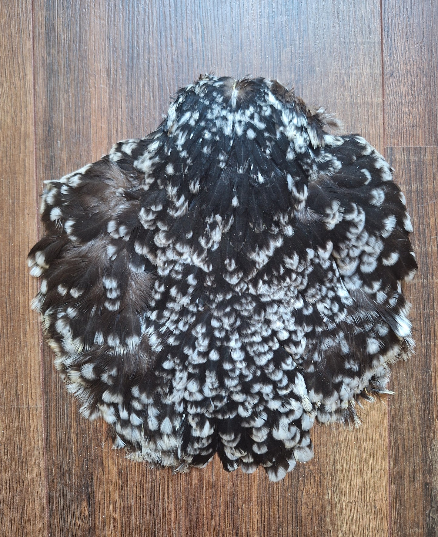 Chicken skin