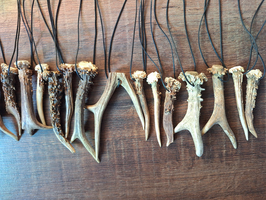 Roe deer antler necklaces