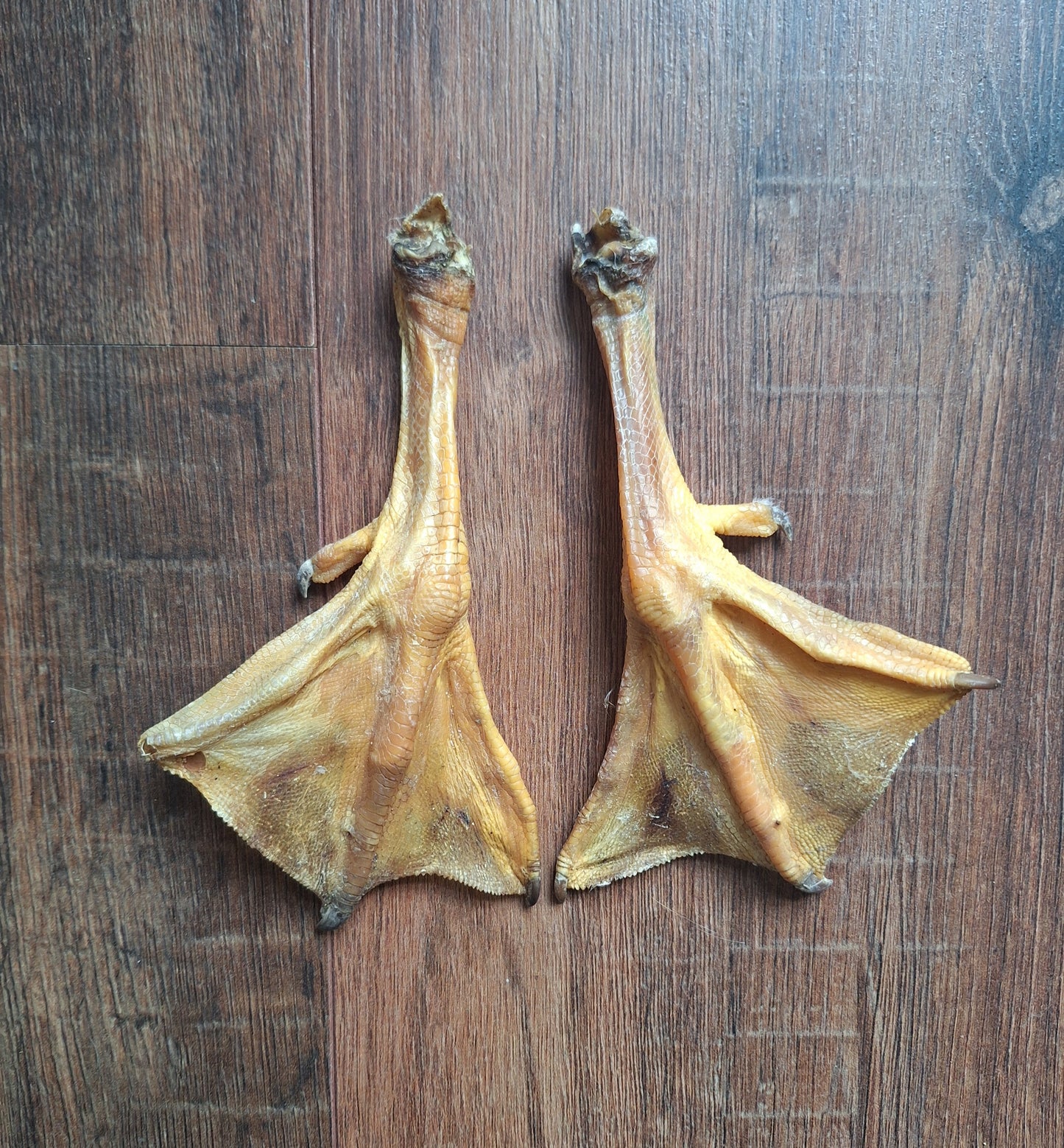 Goose lower legs, set of 2