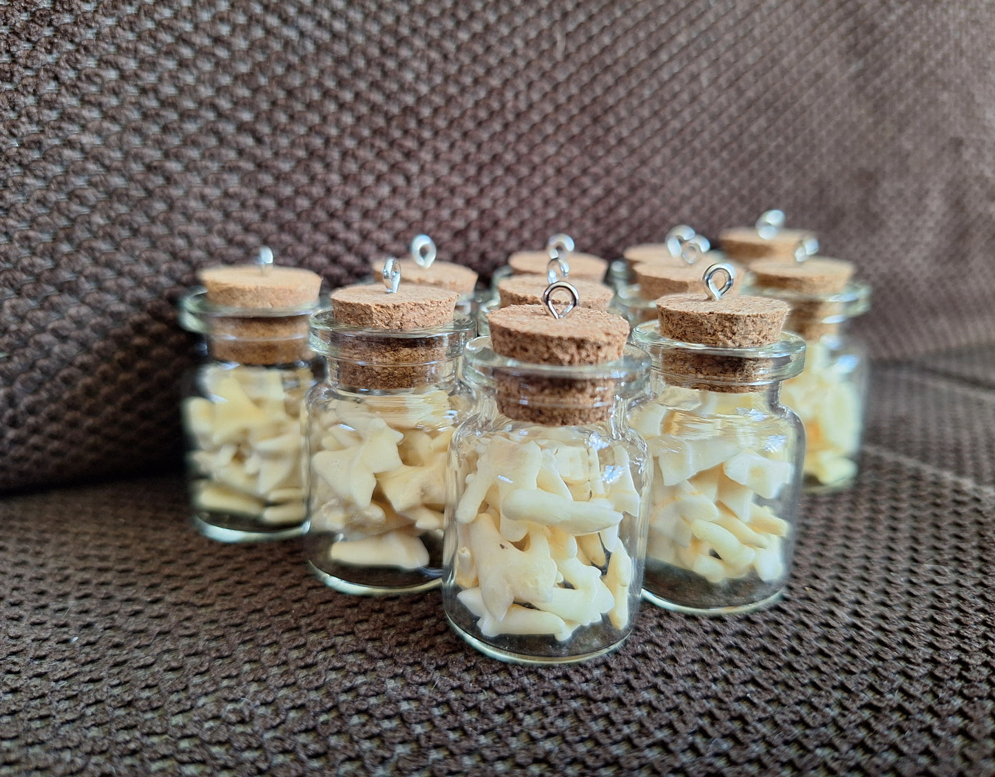 Fox teeth bottle