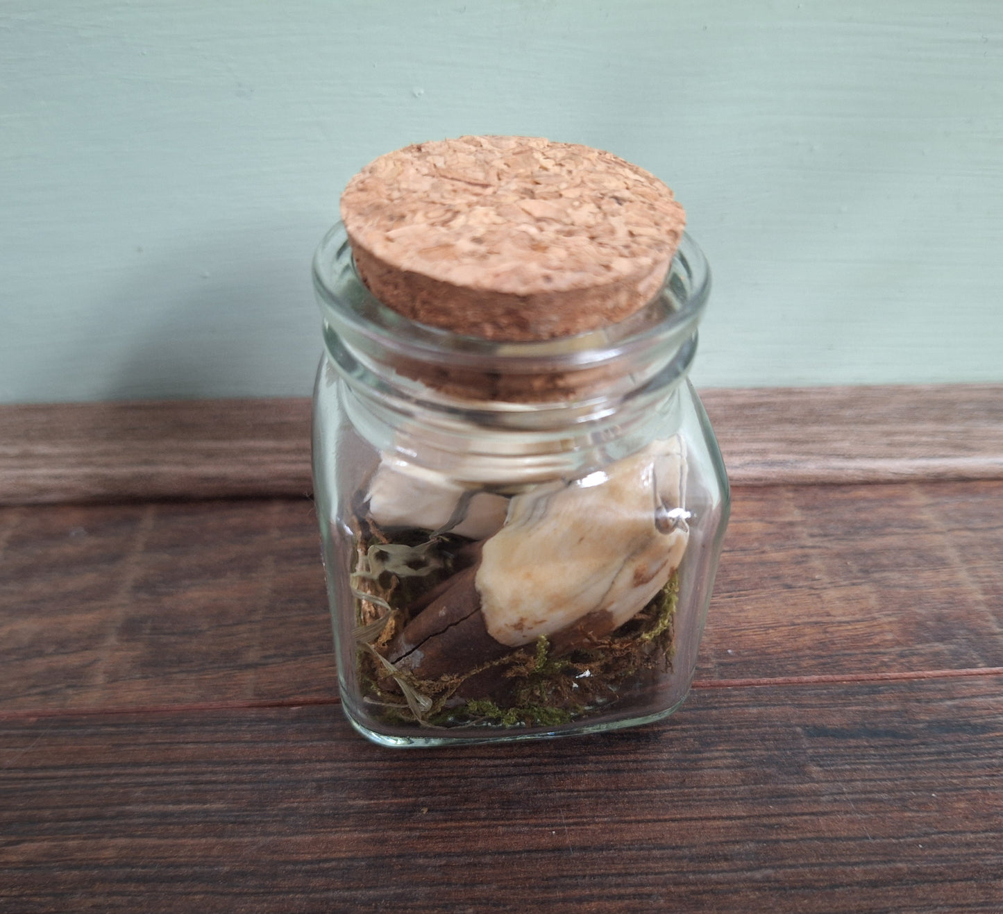 Cow teeth in glass jar