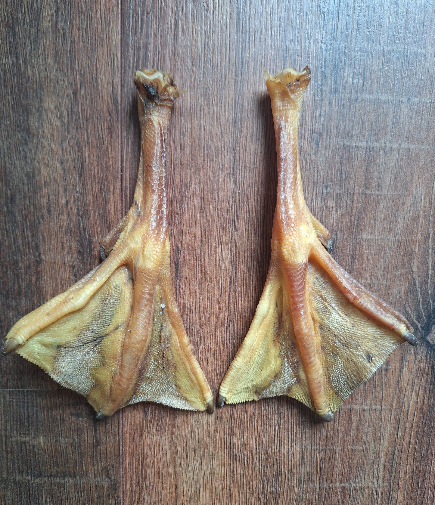 Goose lower legs, set of 2