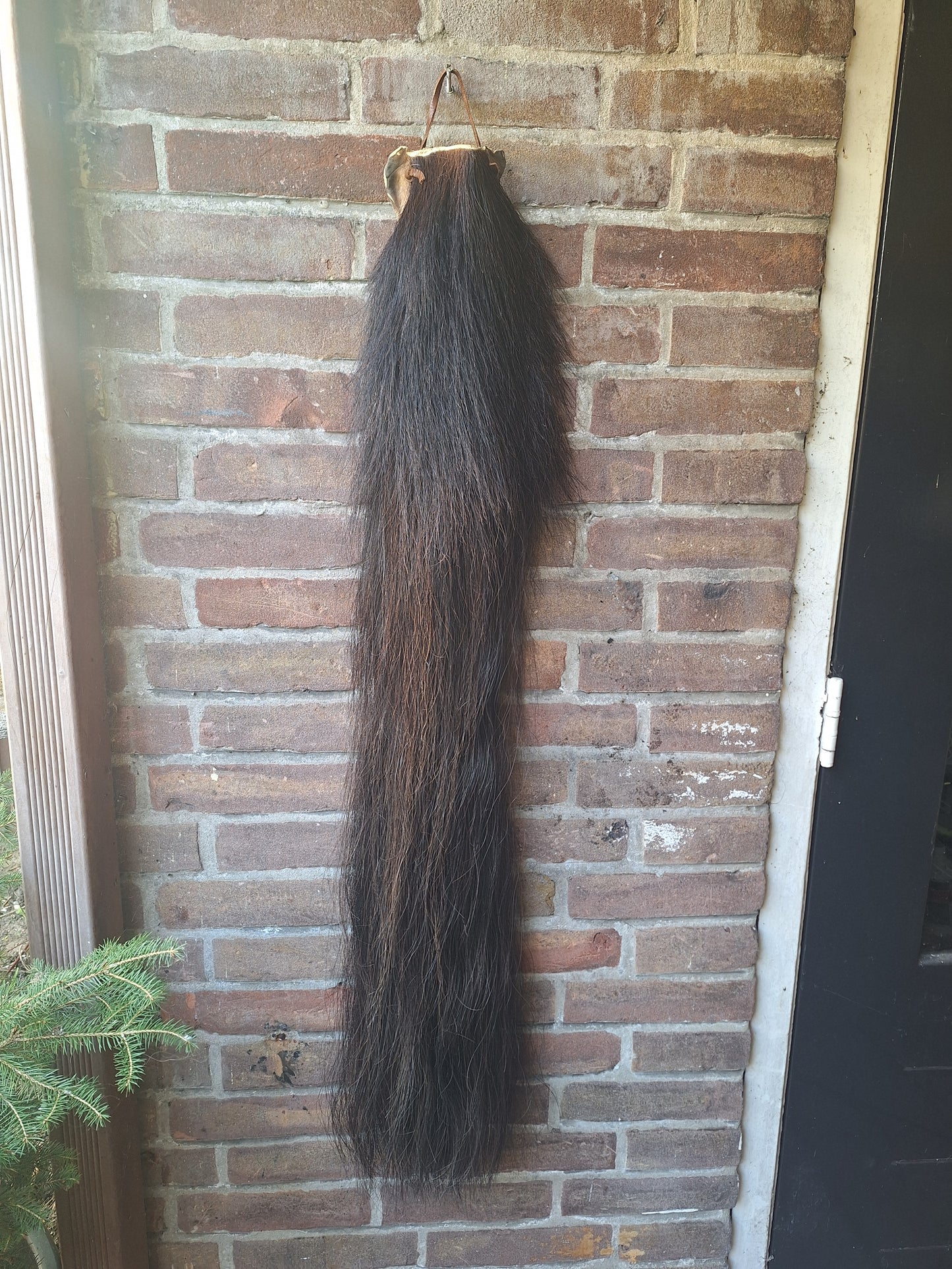 Horse tail #7, complete tail