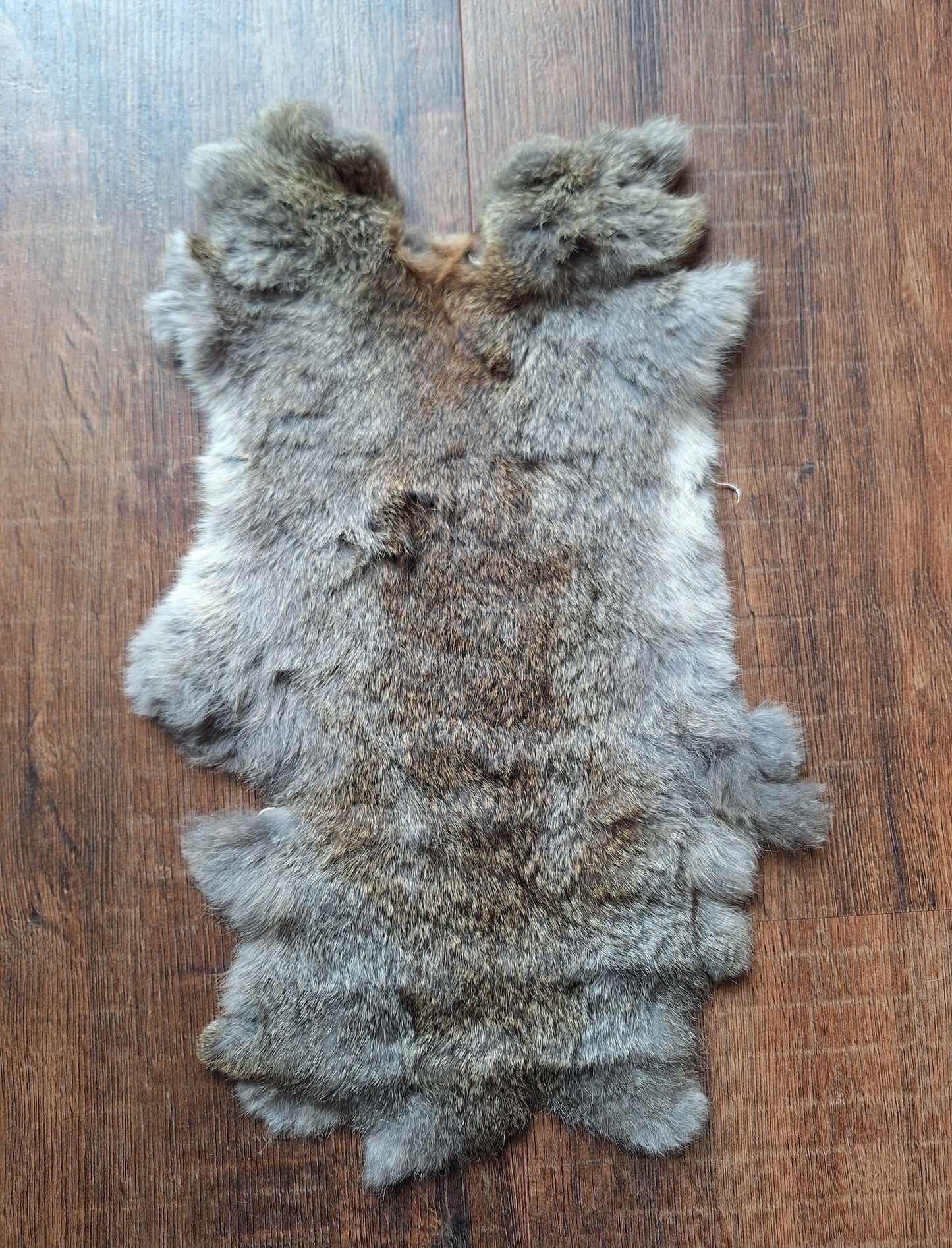 Rabbit hide #11