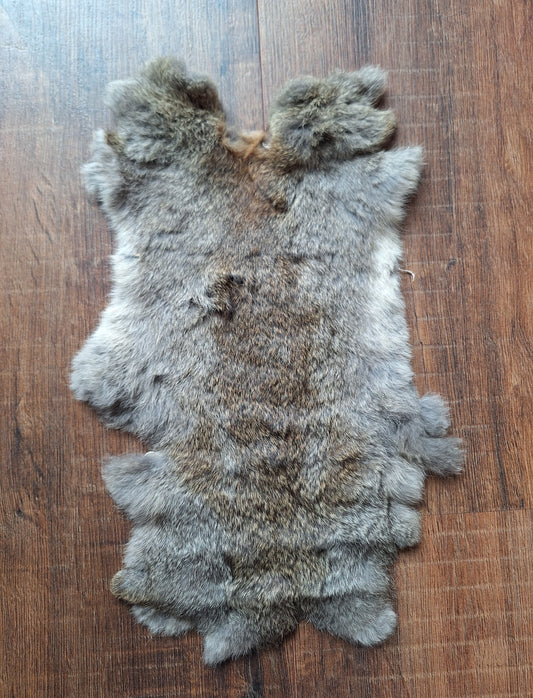 Rabbit hide #11