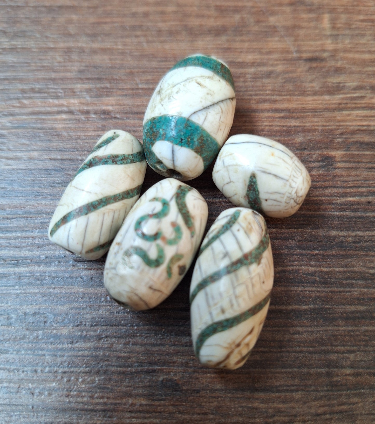 Old conch shell beads with turquoise inlay, set of 5