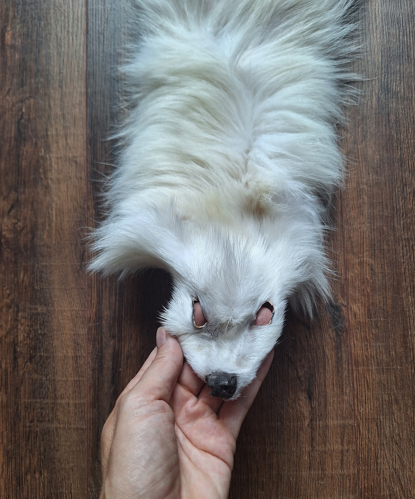 Polar fox hide, B-quality