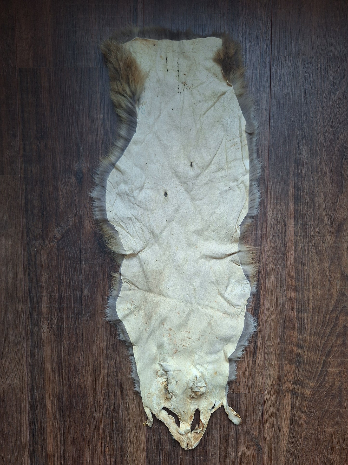 Red fox hide crafting piece