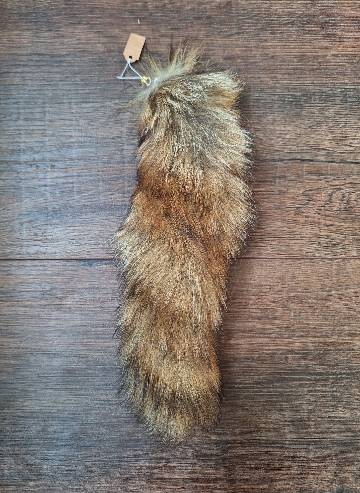 Red fox tails
