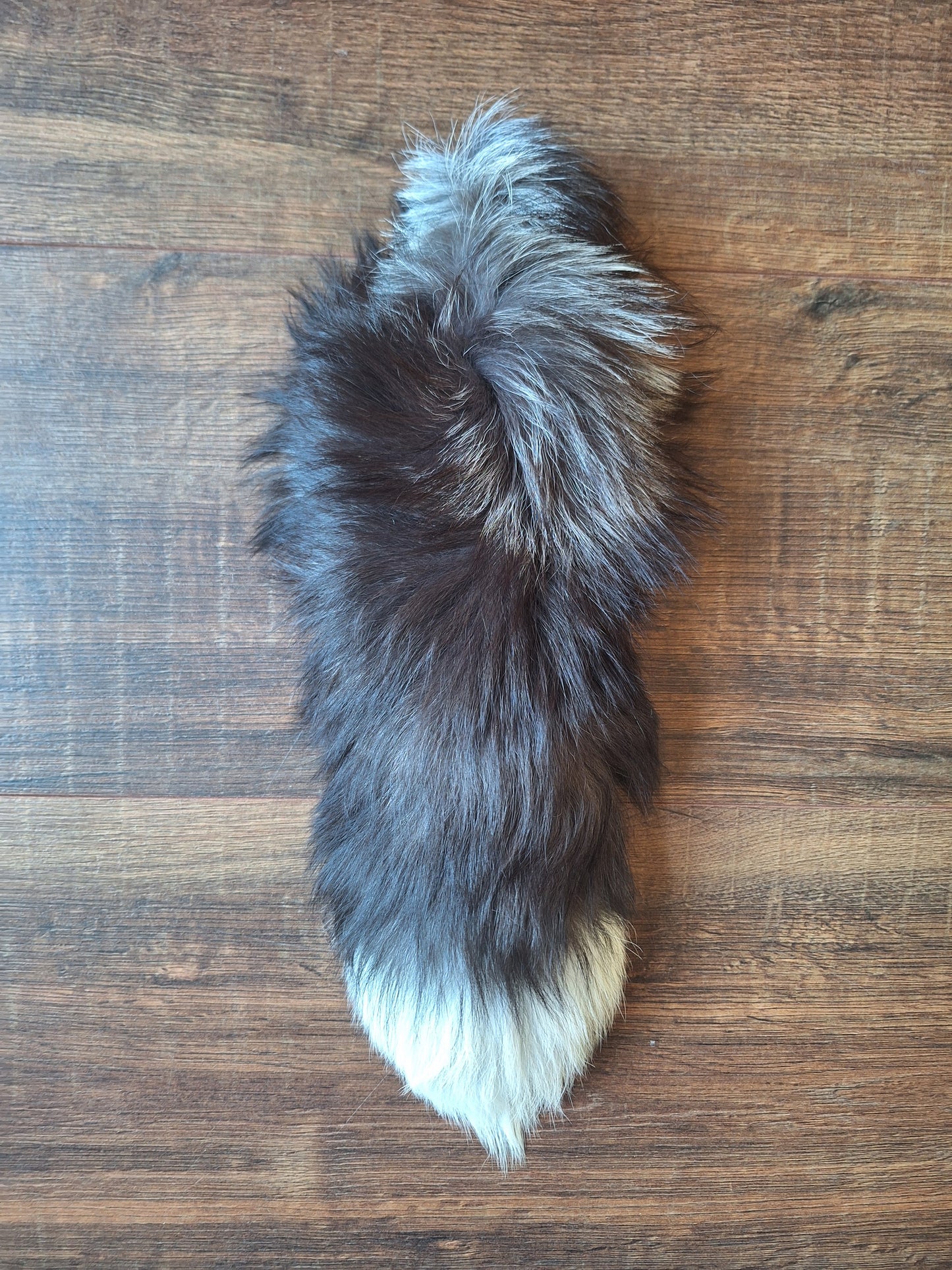 Silver fox tails