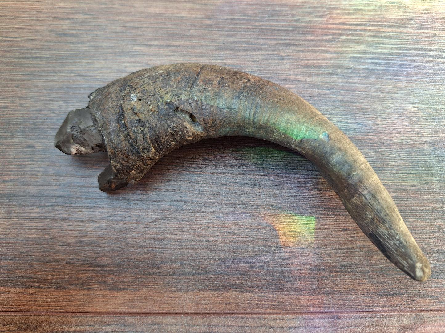 Old Nepalese shamanic horn stick #4
