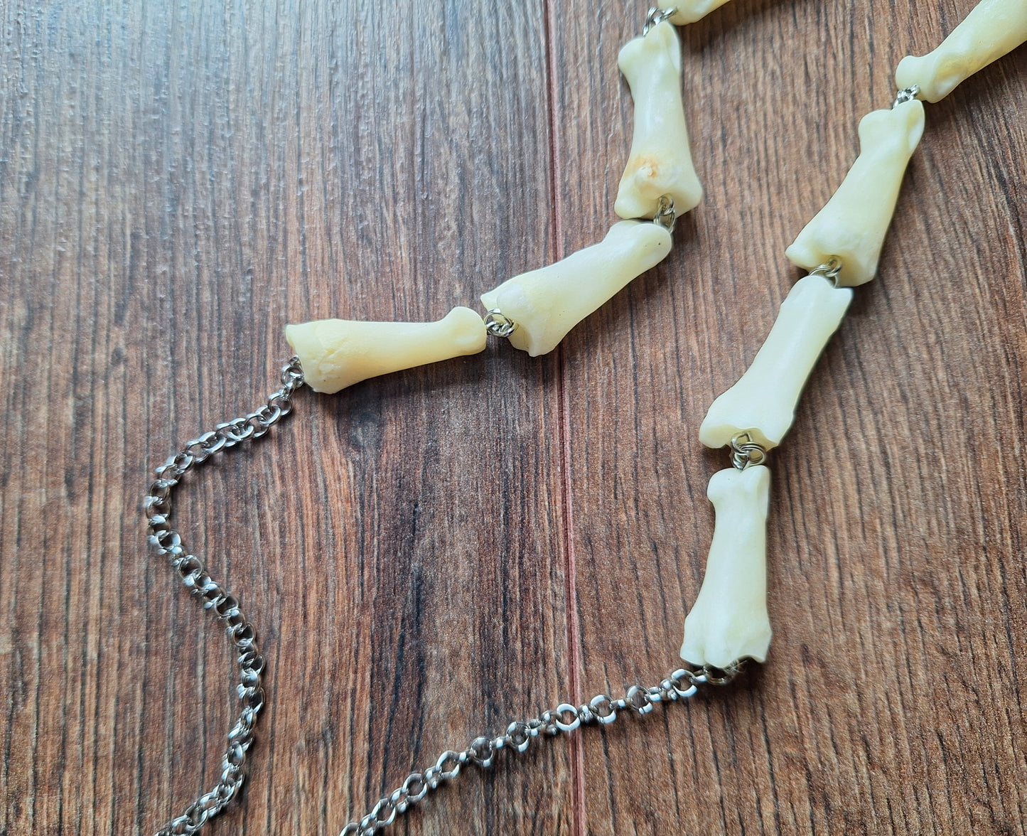 Roe deer foot bones amulet necklace