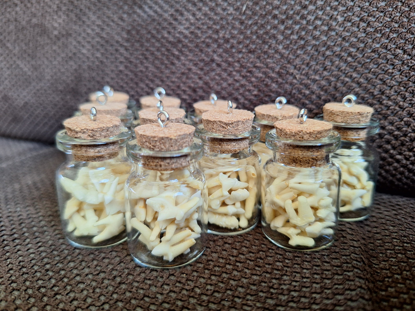 Fox teeth bottle